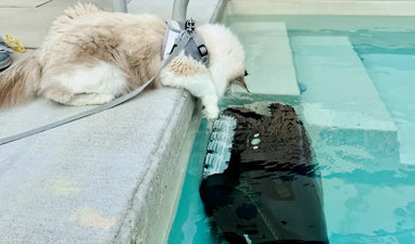 Best Robotic Pool Cleaners 2026: Top Picks by Pool Type, Debris Load, and Maintenance Needs