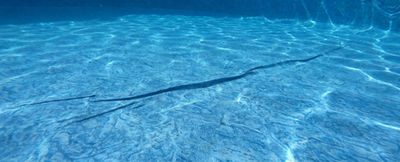 Solar Pool Skimmer vs Robotic Pool Cleaner: What's the Difference?