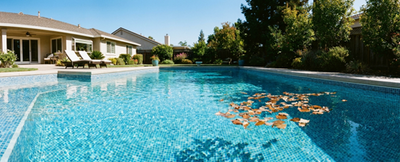 Can a Robotic Pool Cleaner Clean Pool Steps? What Pool Owners Should Know