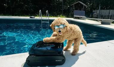 AquaSense 2 Ultra vs. Dolphin Sigma: Which Is Better