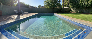 Is a Pool That Is Green with Algae Safe to Swim In?