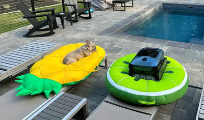 Is There a Big Difference Between a 1 HP and 1.5 HP Pool Pump?