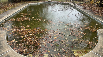 How to Get Water Off a Pool Cover After Fall Rain