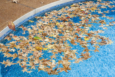 What is a Pool Leaf Vacuum?